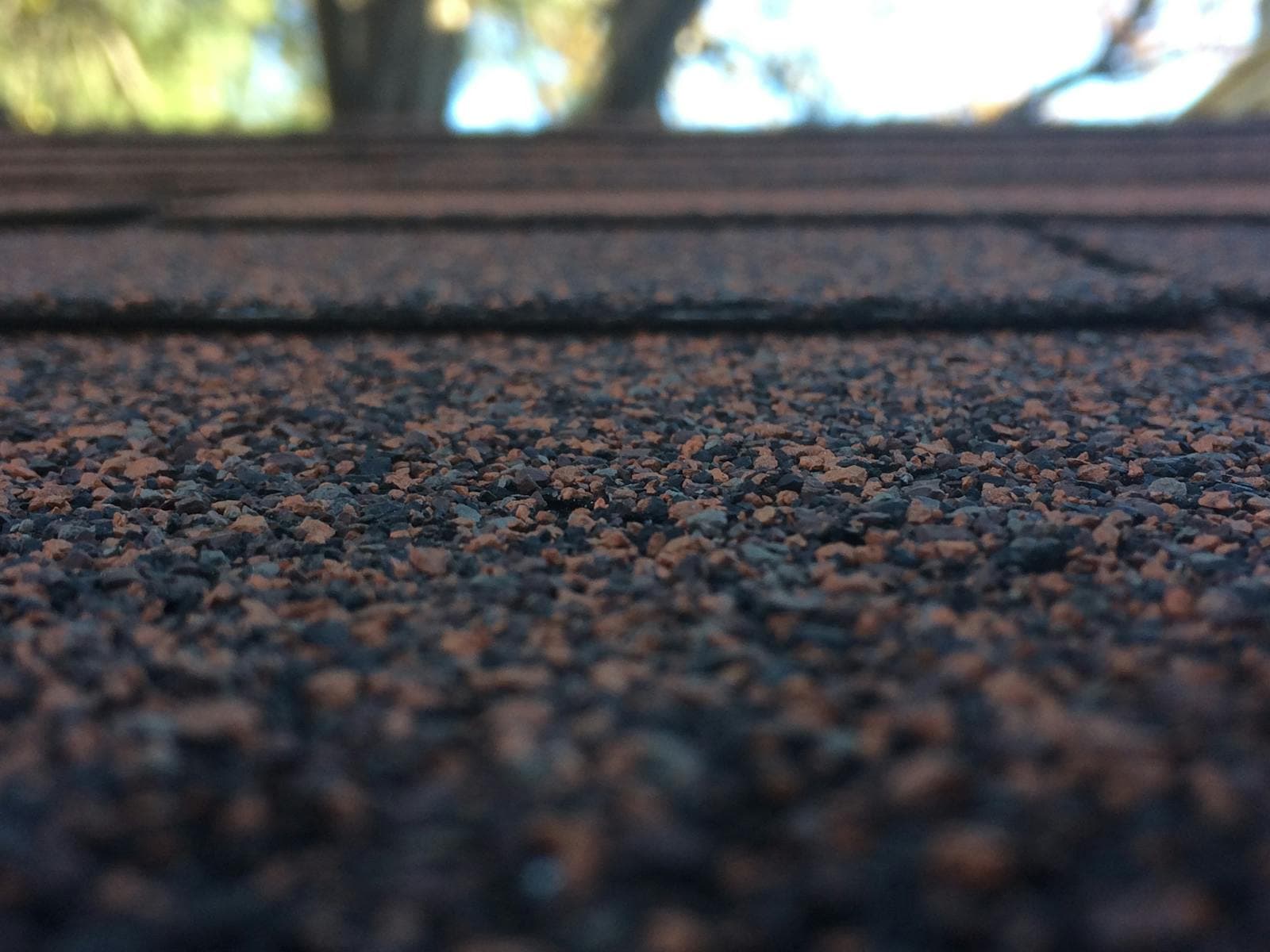 Macro view of weathered asphalt shingle granules in afternoon light